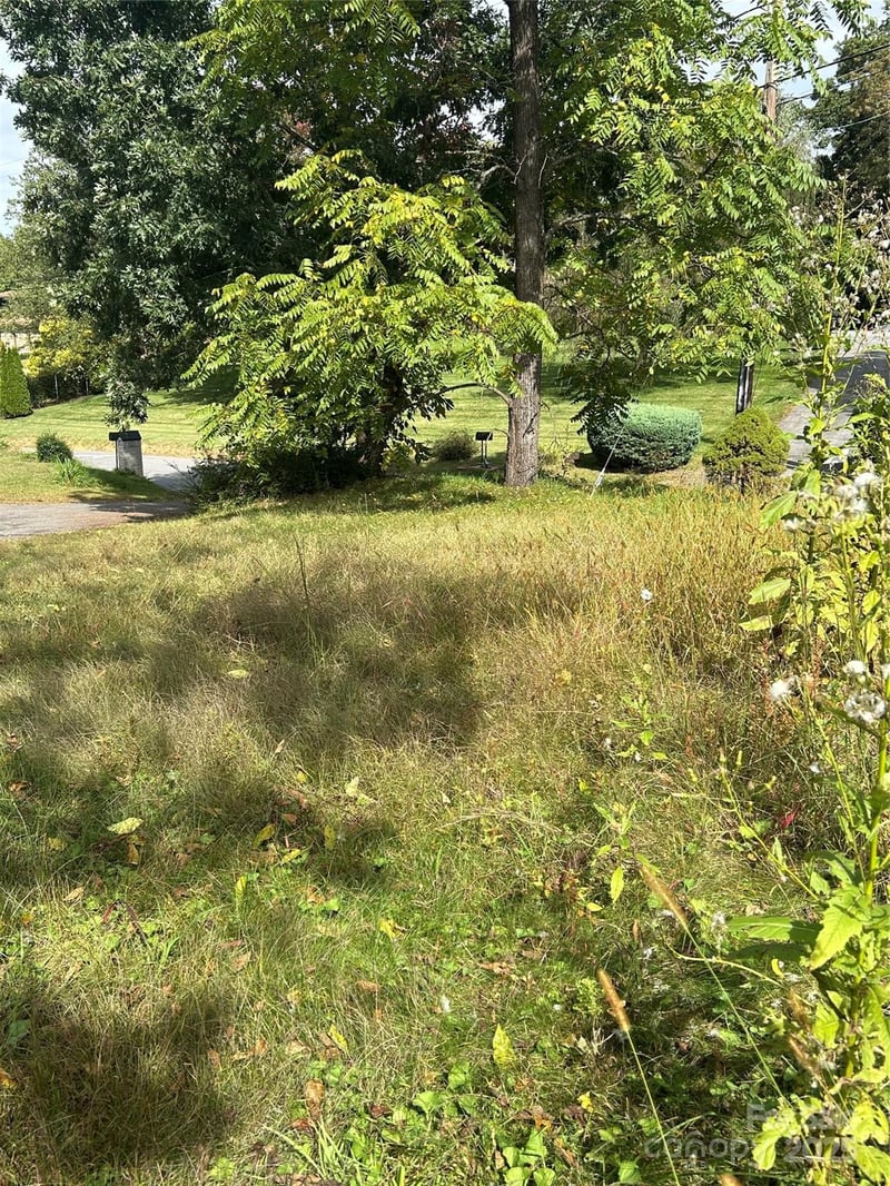 59 Wyatt St, Asheville, NC 28803