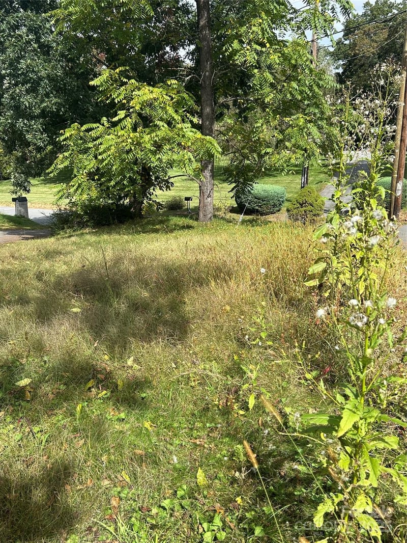 59 Wyatt St, Asheville, NC 28803