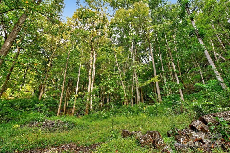 99999 Rocky Branch Trl, Marion, NC 28752