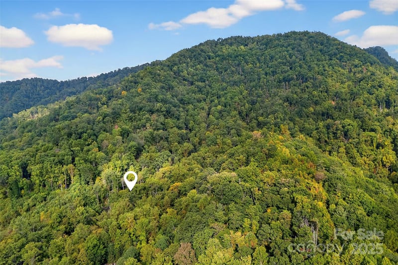 99999 Rocky Branch Trl, Marion, NC 28752