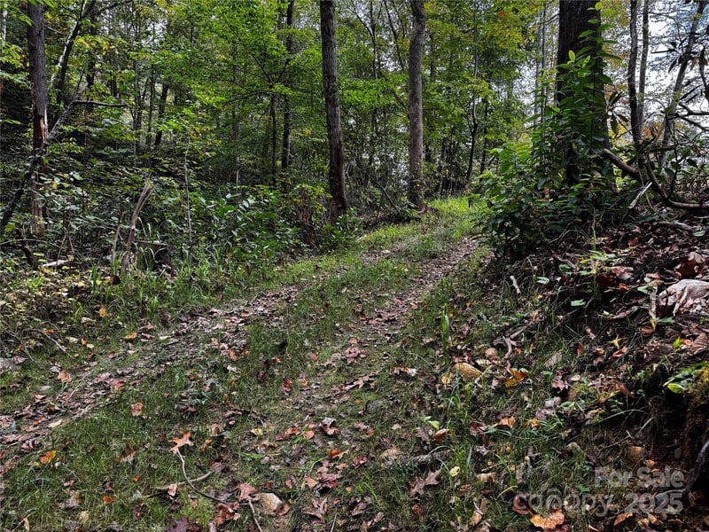 Mt Hebron Rd, Old Fort, NC 28711