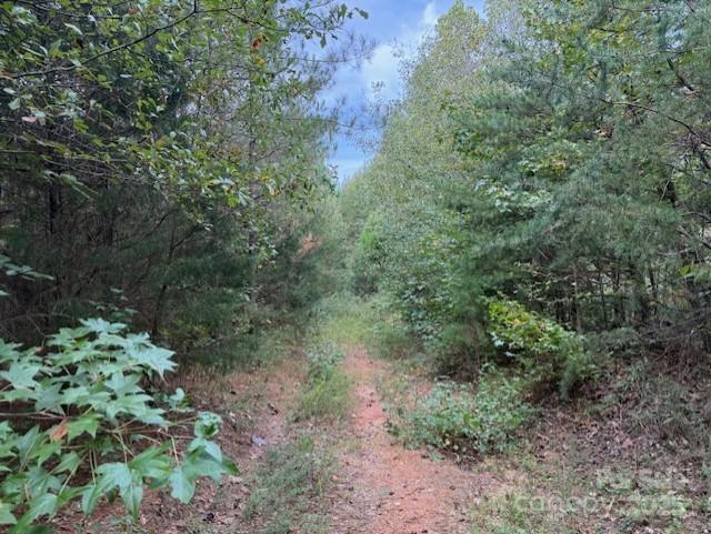 164 Blackburn Dr, Grover, NC 28073