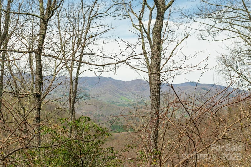 Lot 12 Heritage Ridge Loop, Burnsville, NC 28714