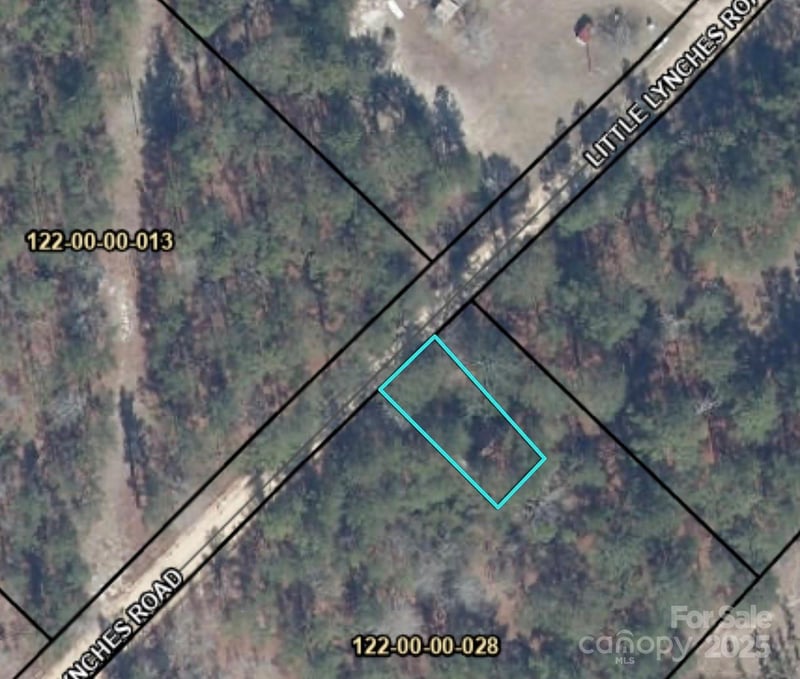 2011 Little Lynches Rd, Bethune, SC 29009