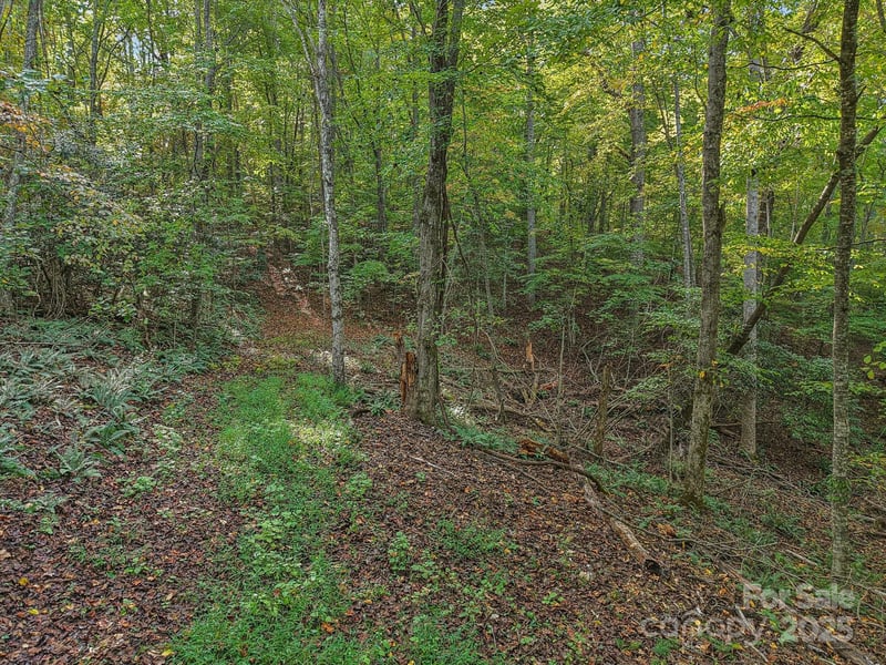 TBD Upper Glady Fork Rd, Candler, NC 28715