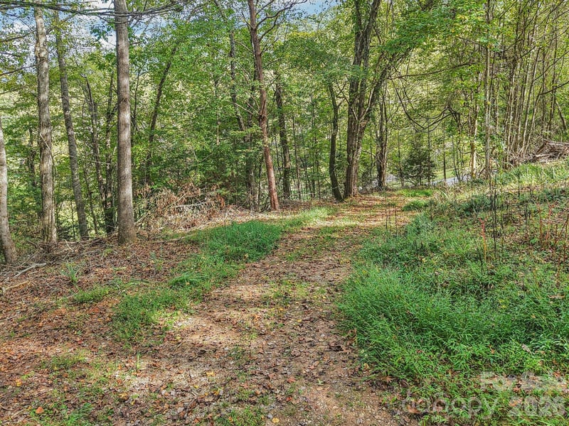 TBD Upper Glady Fork Rd, Candler, NC 28715
