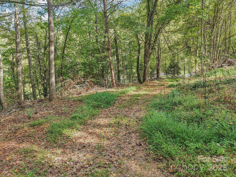 TBD Upper Glady Fork Rd, Candler, NC 28715