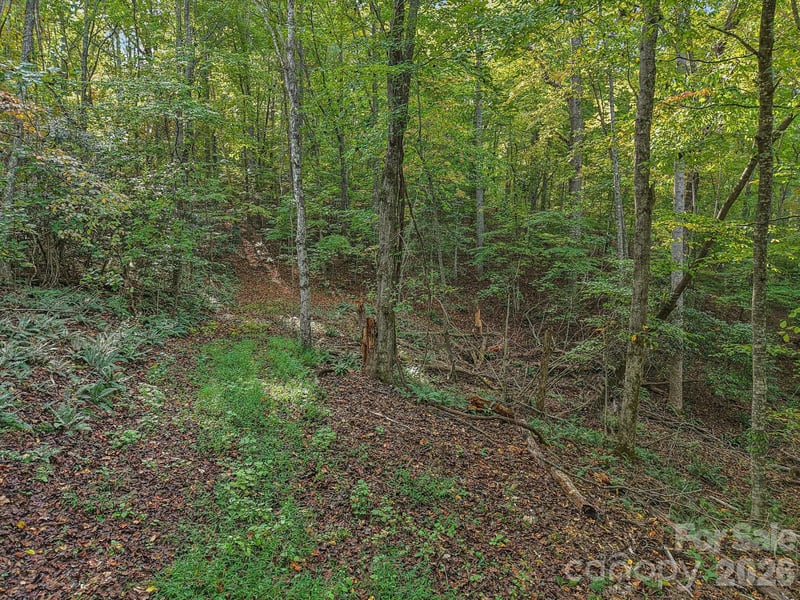 TBD Upper Glady Fork Rd, Candler, NC 28715