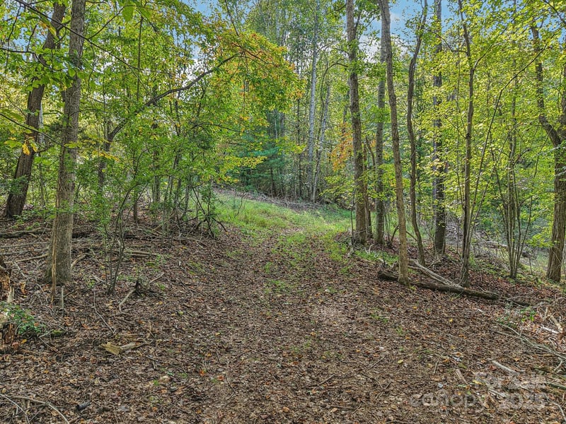 TBD Upper Glady Fork Rd, Candler, NC 28715