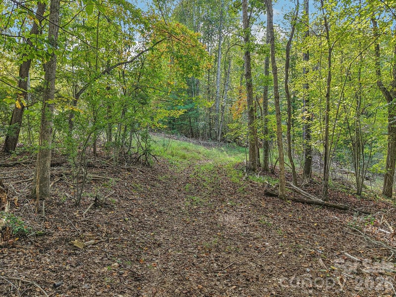 TBD Upper Glady Fork Rd, Candler, NC 28715