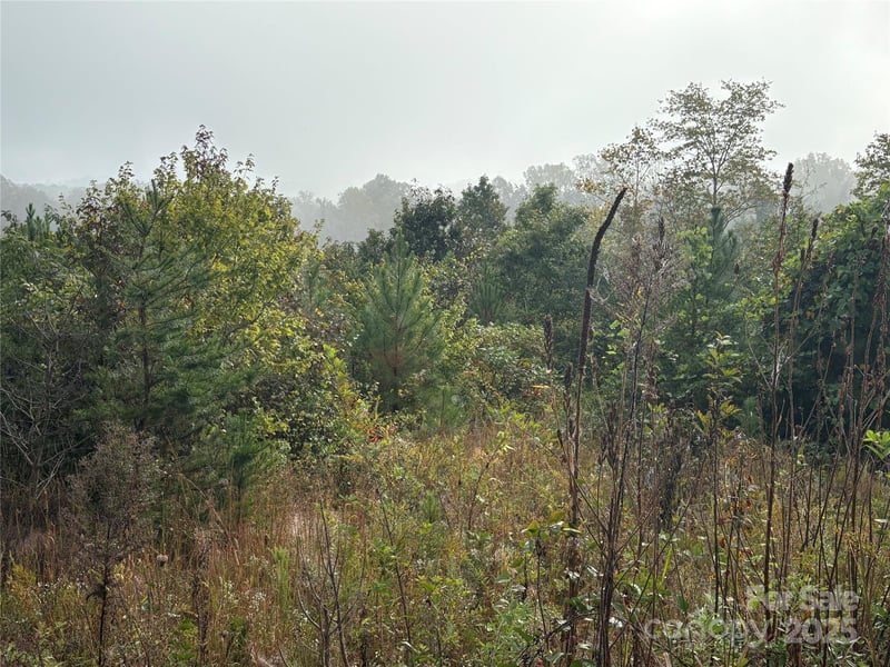 Hopewell Rd, Morganton, NC 28655