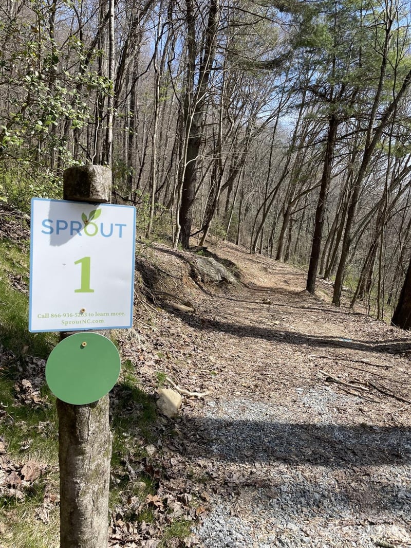 00000 New Sprout Ln #1, Hendersonville, NC 28792
