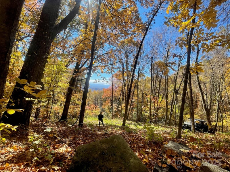 00000 New Sprout Ln #1, Hendersonville, NC 28792
