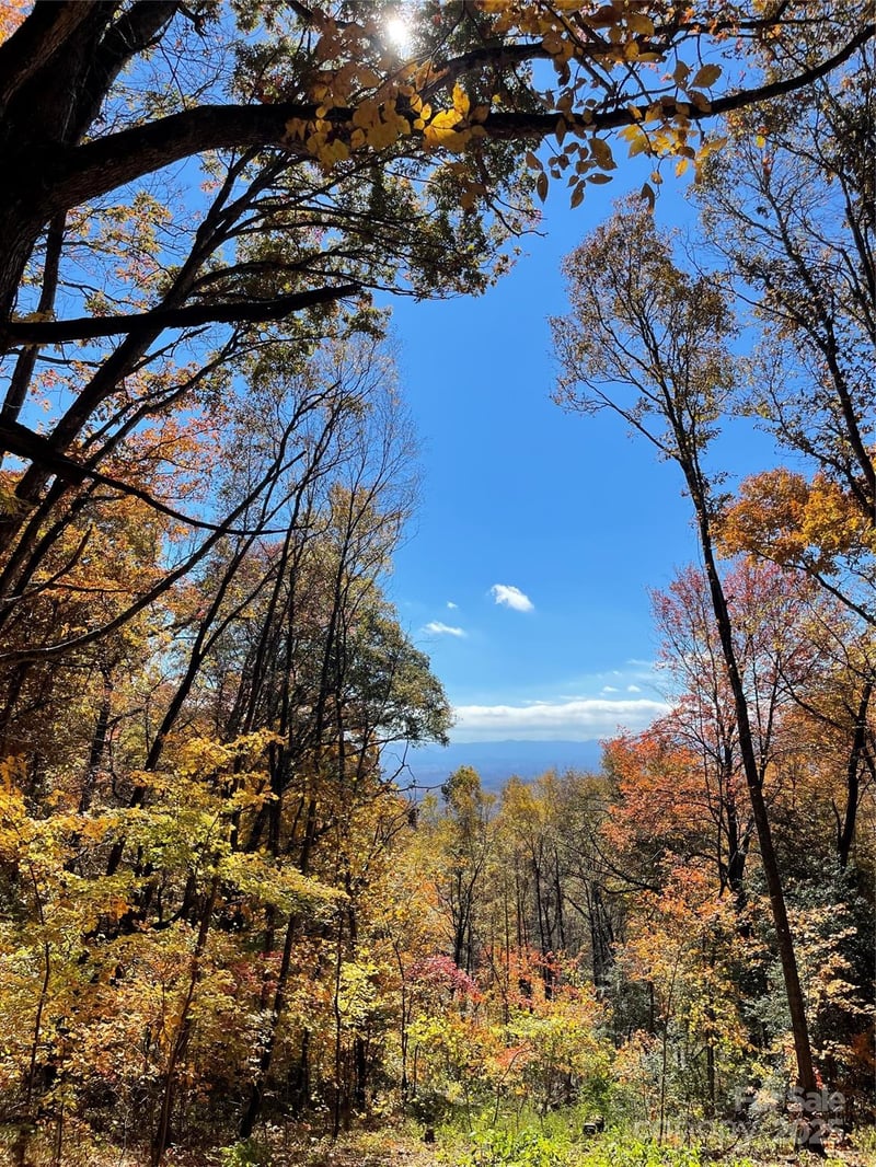 00000 New Sprout Ln #1, Hendersonville, NC 28792