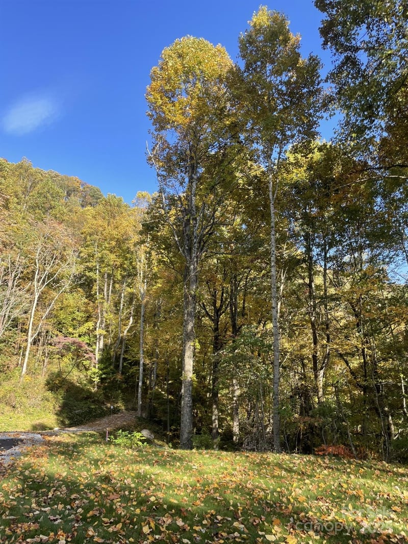 00000 New Sprout Ln #1, Hendersonville, NC 28792