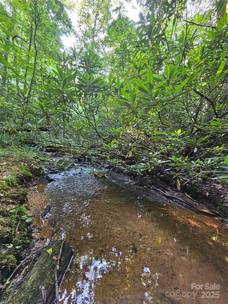0000 Happy Acres Rd, Brevard, NC 28712