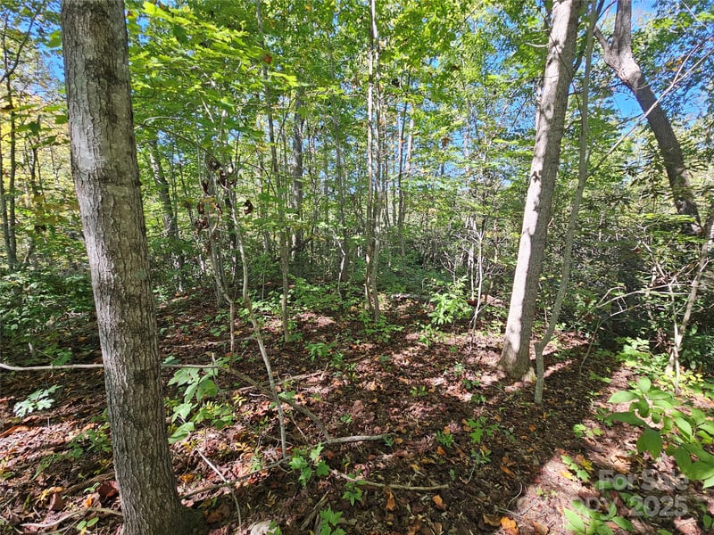 TBD Lackey Town Rd, Old Fort, NC 28762