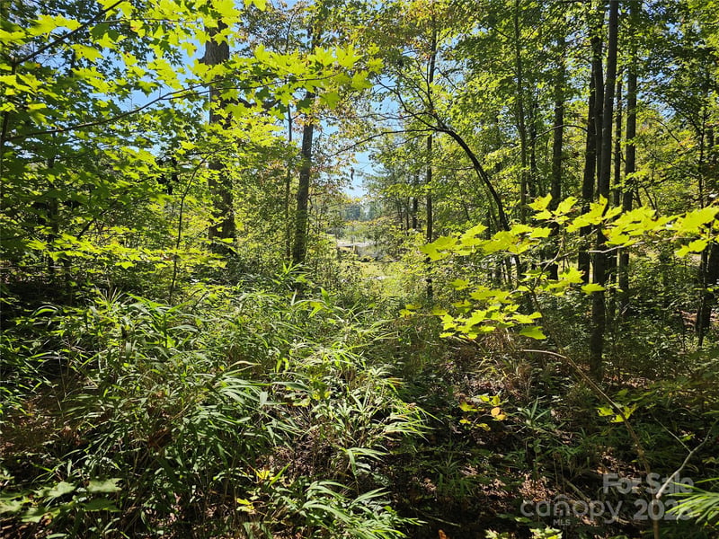 TBD Lackey Town Rd, Old Fort, NC 28762