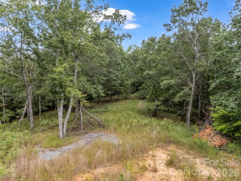 TBD Highland Farms Rd #6, Mill Spring, NC 28756