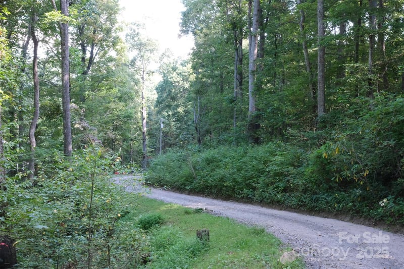 Lot: 12 Caperton Point Rd #12, Swannanoa, NC 28778