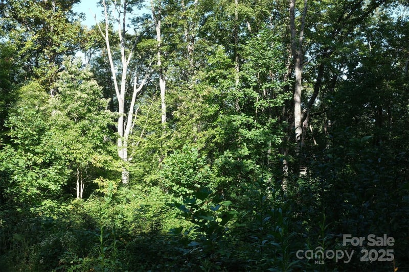 Lot: 12 Caperton Point Rd #12, Swannanoa, NC 28778