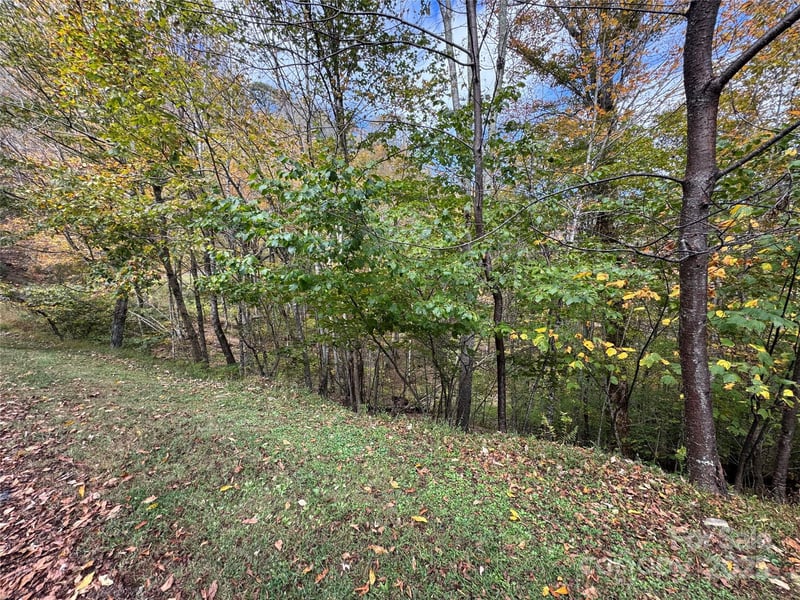 92 Goldenleaf Dr, Mars Hill, NC 28754
