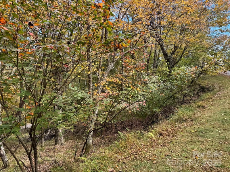 92 Goldenleaf Dr, Mars Hill, NC 28754