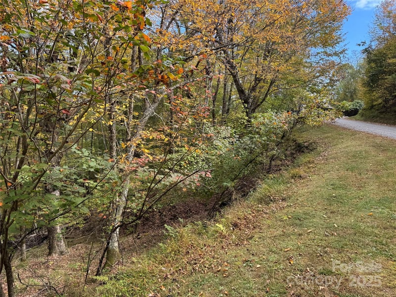 92 Goldenleaf Dr, Mars Hill, NC 28754