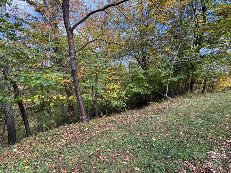 92 Goldenleaf Dr, Mars Hill, NC 28754