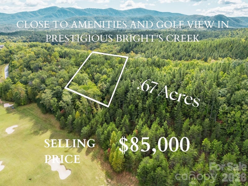 000 Deep Gap Farm Dr #237-2021, Mill Spring, NC 28756