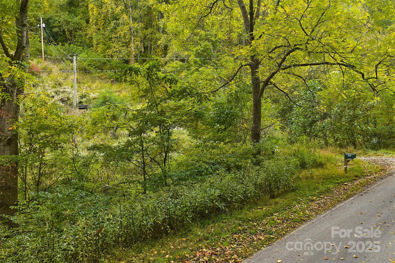 348 Chandler Creek Rd, Mars Hill, NC 28754