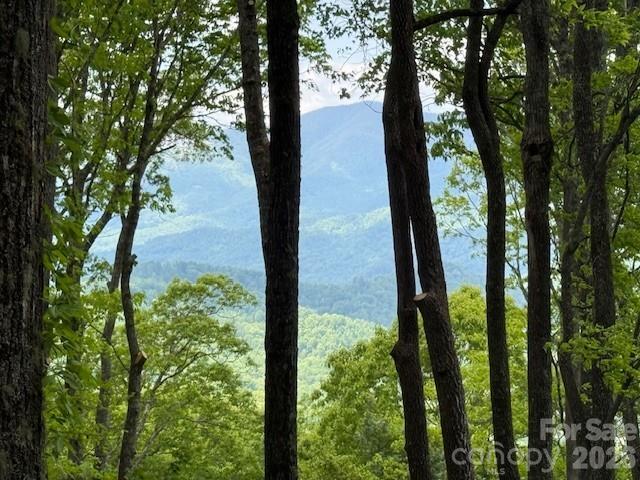 768 Boar Ridge Rd #121, Sylva, NC 28713