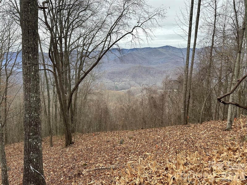 768 Boar Ridge Rd #121, Sylva, NC 28713