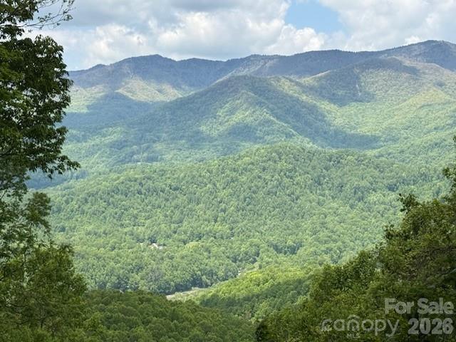 768 Boar Ridge Rd #121, Sylva, NC 28713
