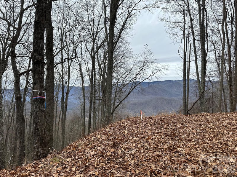 768 Boar Ridge Rd #121, Sylva, NC 28713