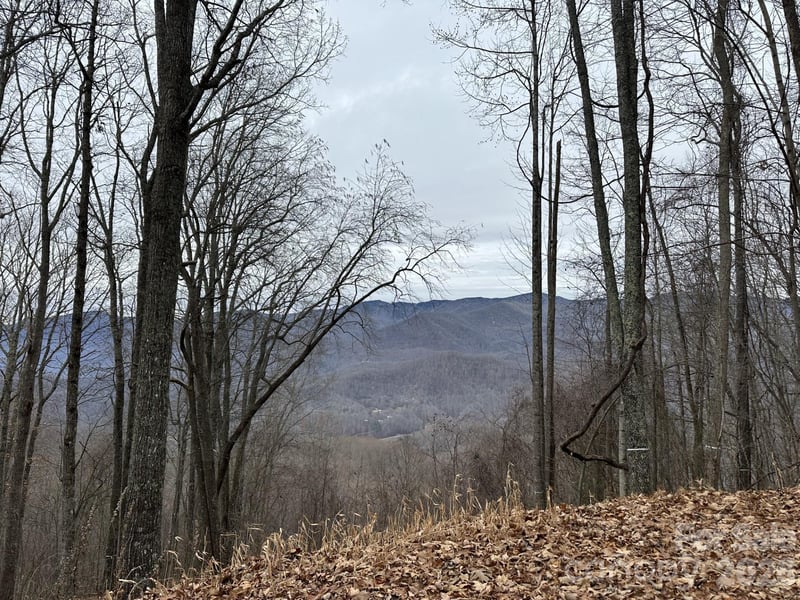 768 Boar Ridge Rd #121, Sylva, NC 28713