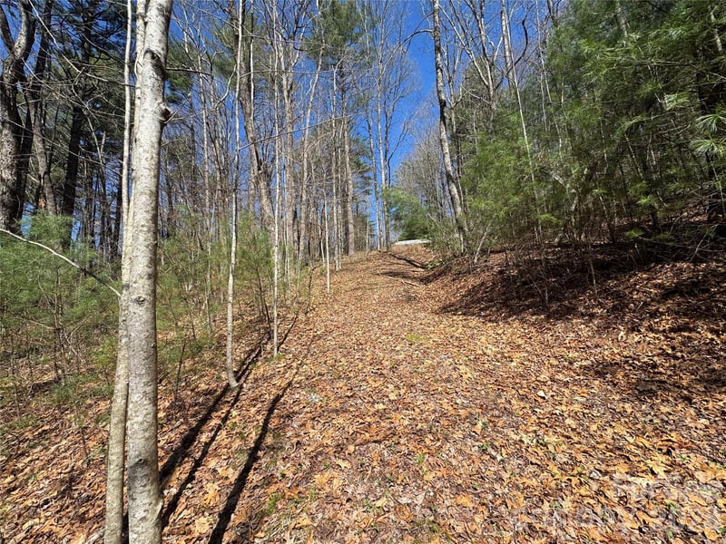 1 Bear Log Rd, Cashiers, NC 28717