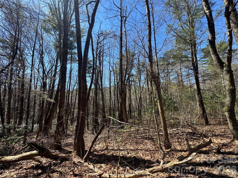1 Bear Log Rd, Cashiers, NC 28717