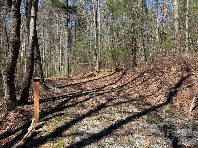 1 Bear Log Rd, Cashiers, NC 28717