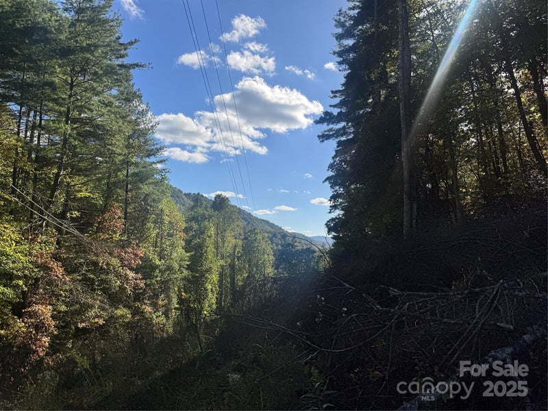 0 Cutshall Town Rd, Marshall, NC 28753