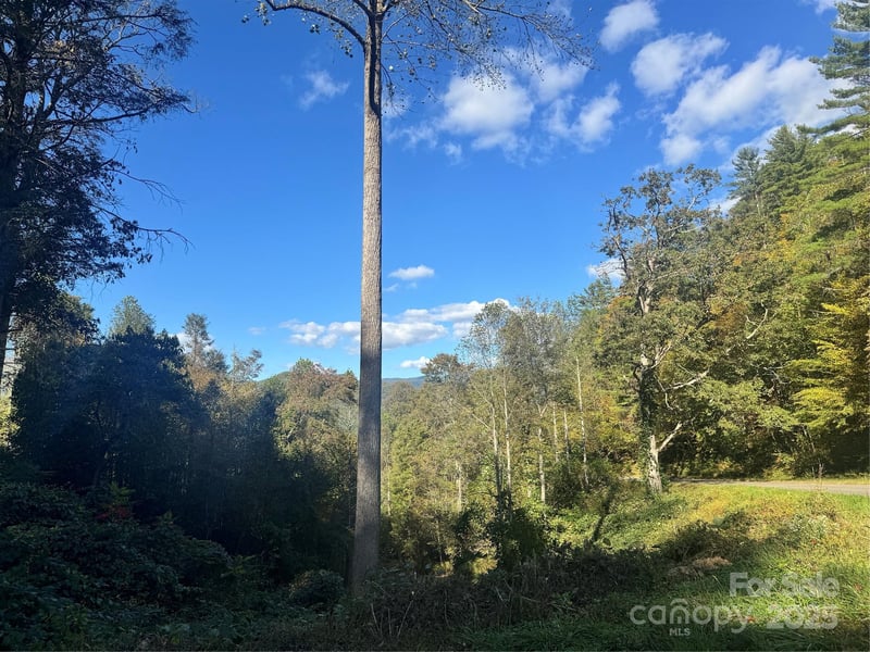 0 Cutshall Town Rd, Marshall, NC 28753