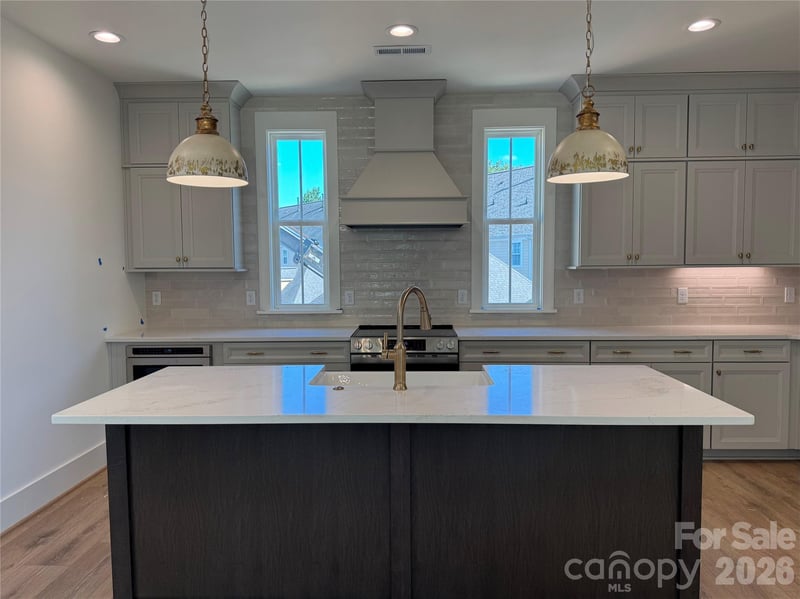 245 Davidson Gateway Dr, Davidson, NC 28036