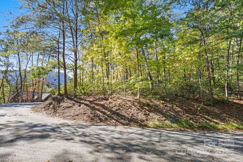 Lot 42 Palmer Pl, Lake Lure, NC 28746