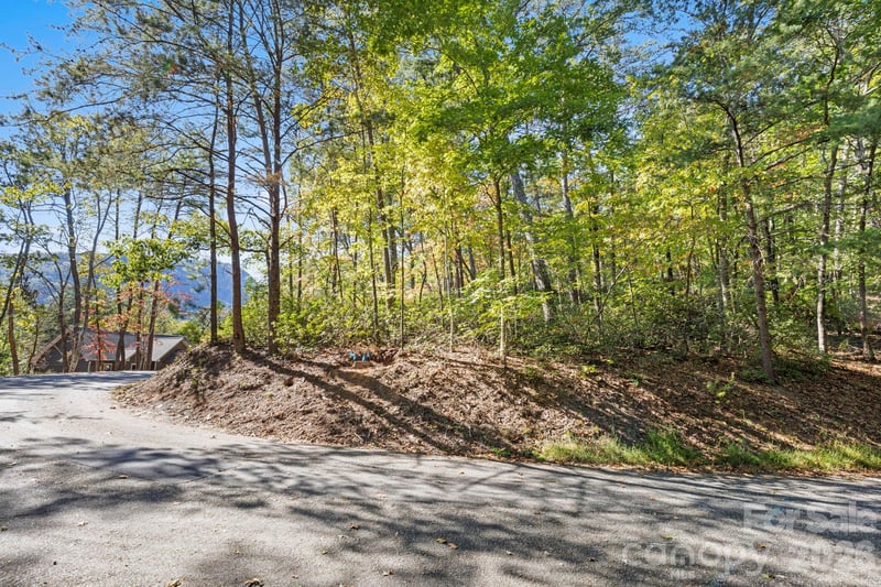 Lot 42 Palmer Pl, Lake Lure, NC 28746