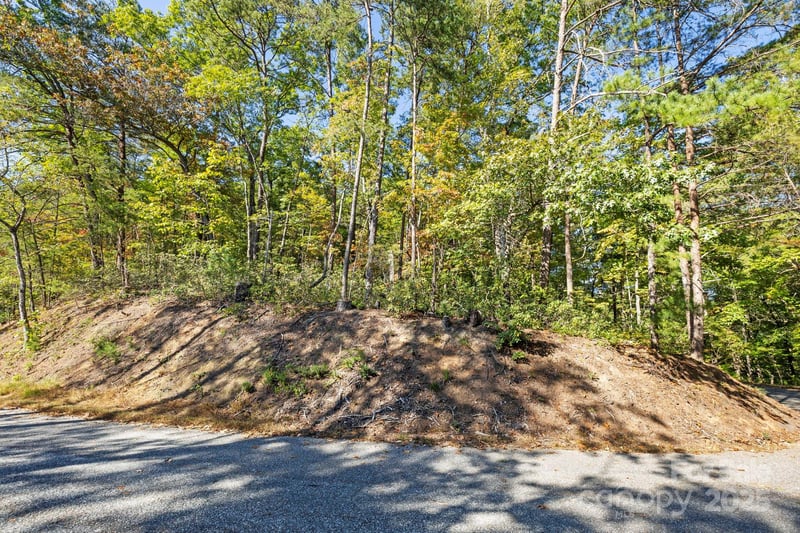 Lot 42 Palmer Pl, Lake Lure, NC 28746