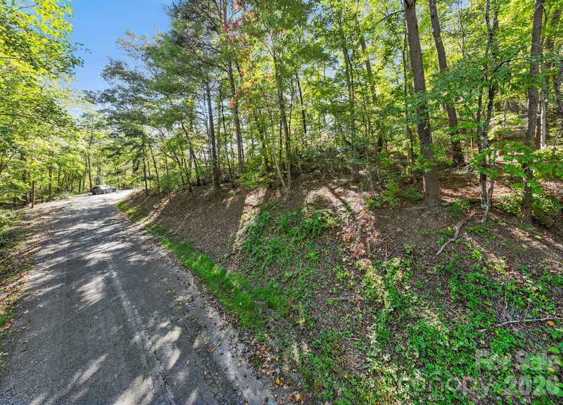 Lot 42 Palmer Pl, Lake Lure, NC 28746