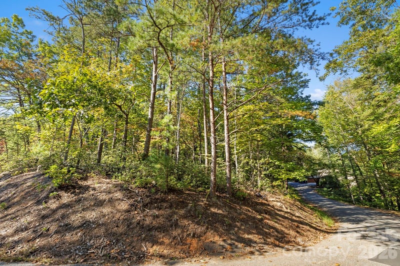 Lot 42 Palmer Pl, Lake Lure, NC 28746