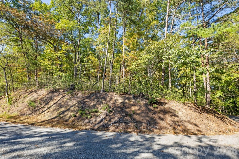 Lot 42 Palmer Pl, Lake Lure, NC 28746