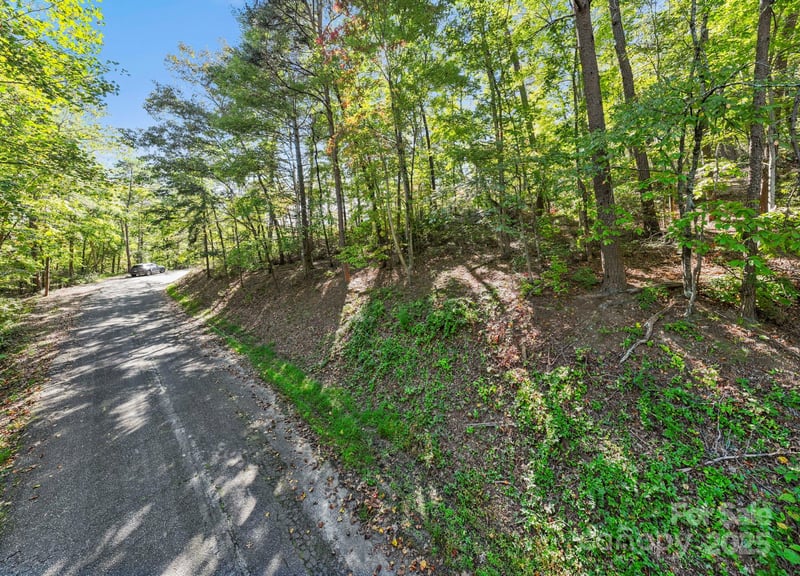 Lot 42 Palmer Pl, Lake Lure, NC 28746
