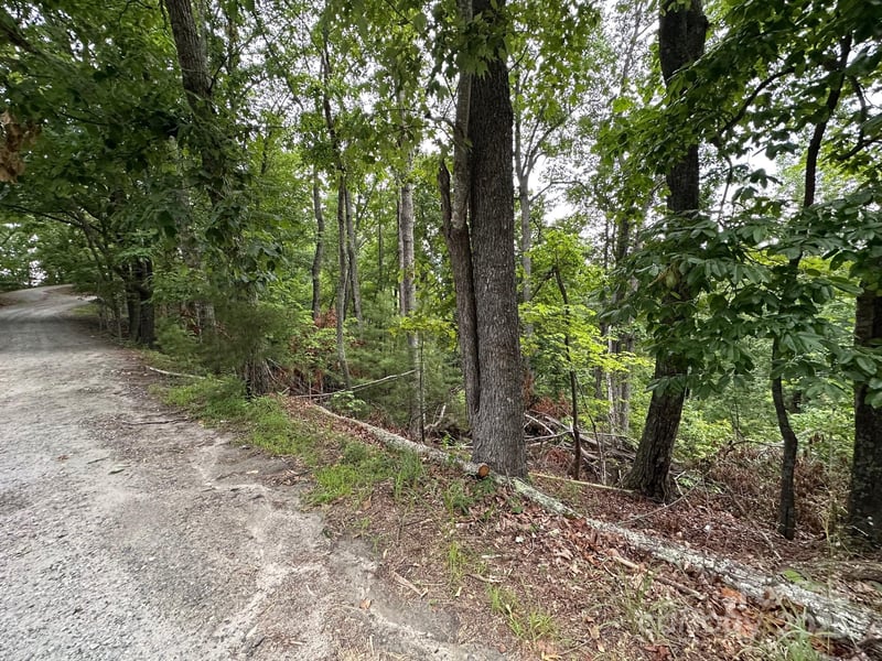 Buzzards Pl #186, Lake Lure, NC 28746